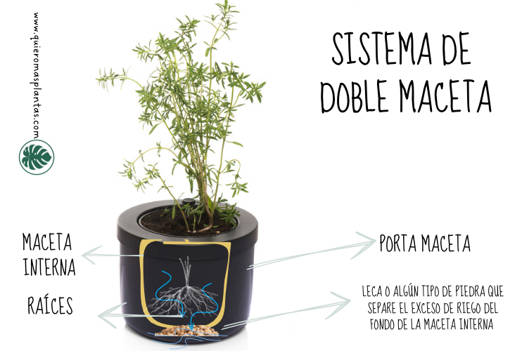 Maceta sin perforaciones de drenaje