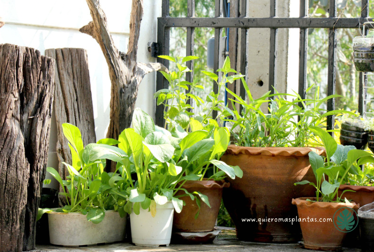 Macetas exteriores