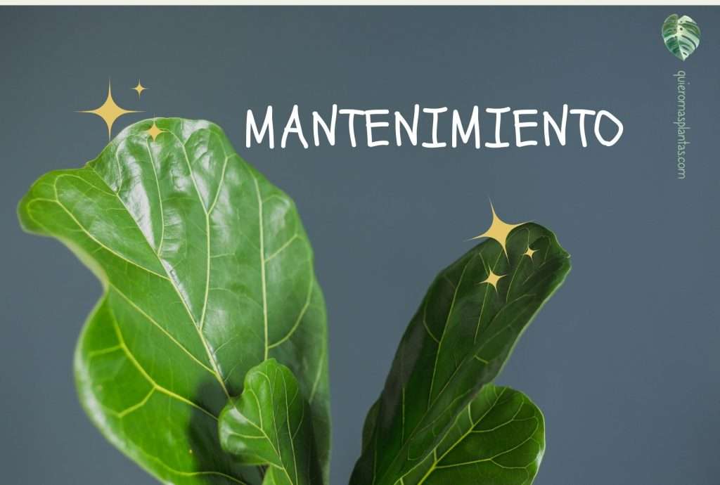 Mantenimiento de planta