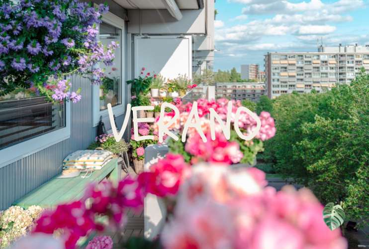 Las Plantas y sus estaciones