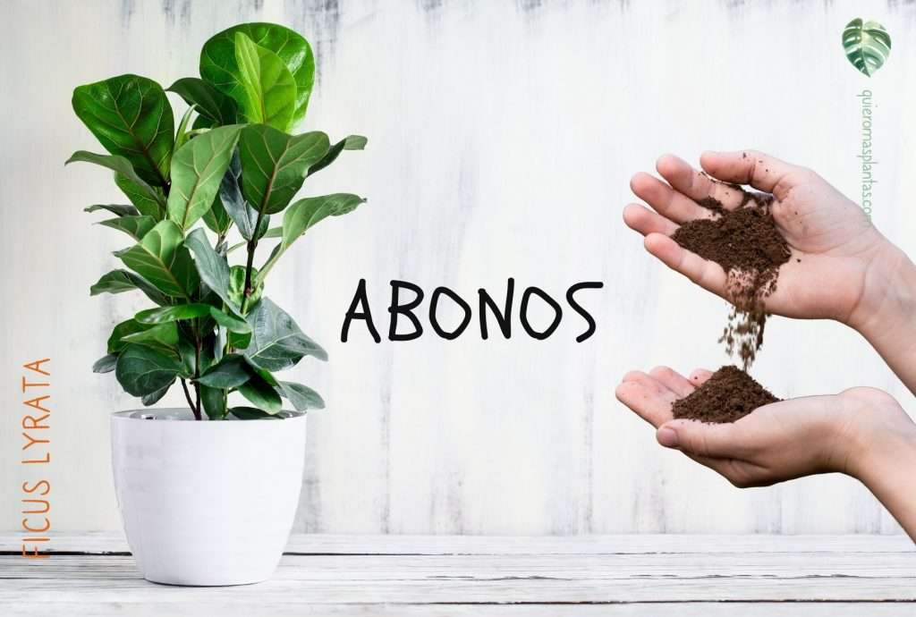 ABONOS