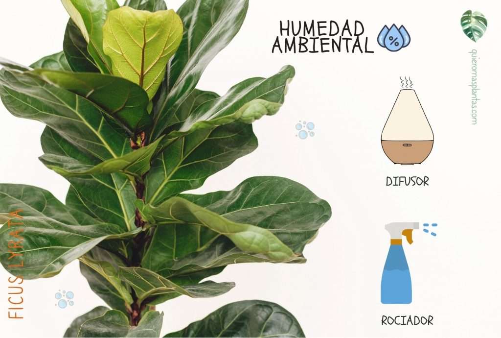 Humedad ambiental
