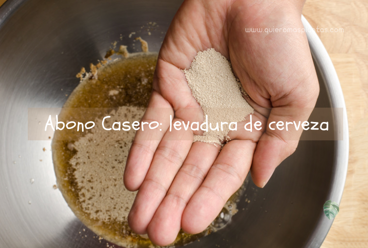 Abono casero: levadura