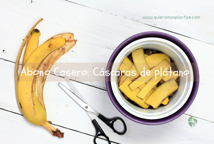 Fertilizante natural banana