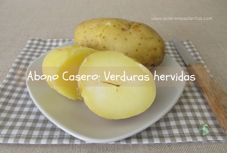 Verduras hervidas como abono
