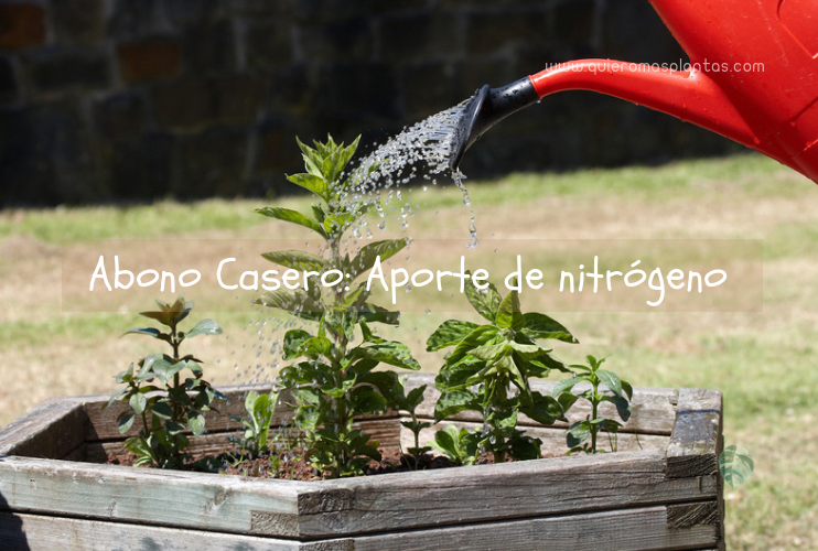 Orina como fertilizante casero