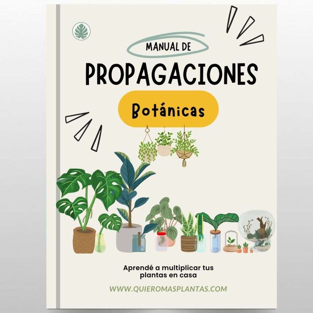 Propagaciones botanicas