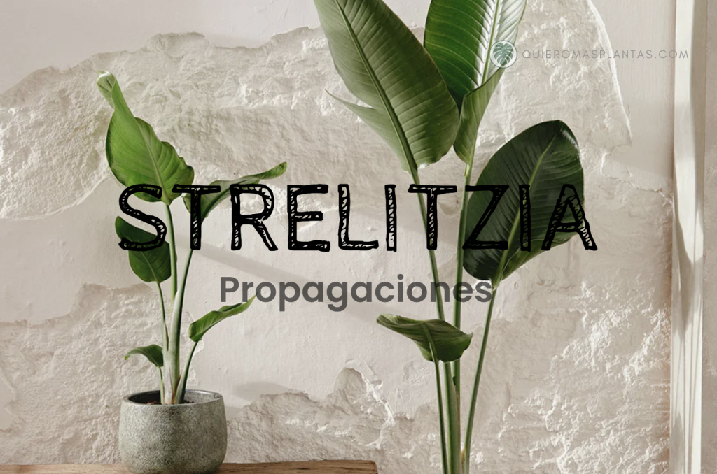 Guía de propagaciones