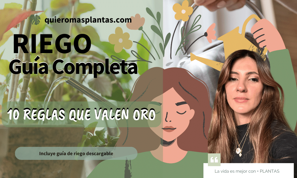 Cómo debo regar una planta, 10 consejos que valen oro