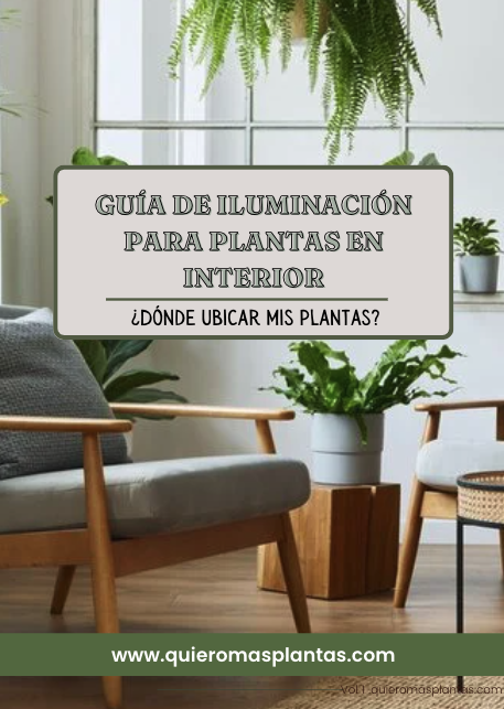 Guía de iluminació para plantas de interior