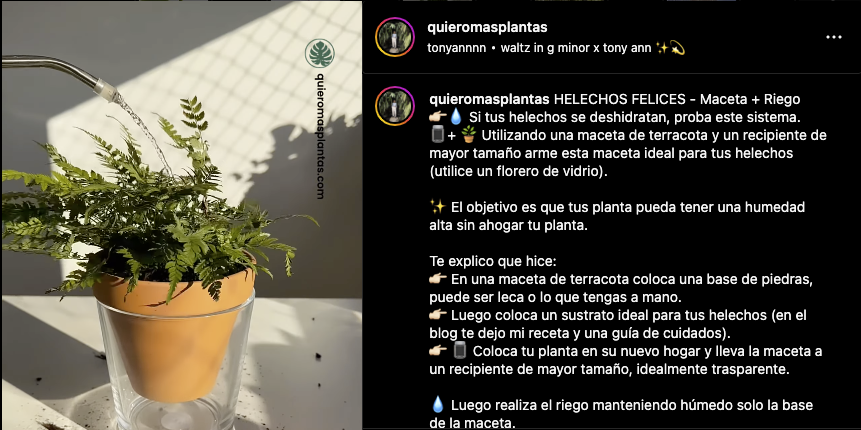 Quieromasplantas