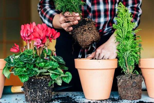 Sustrato hidrofobico que es