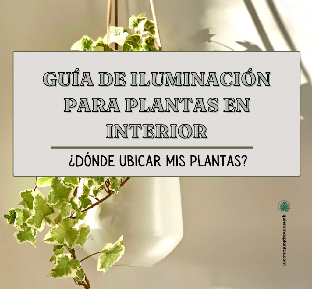 Guía de iluminació gratis