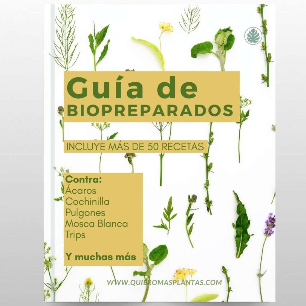 Guia de biopreparados