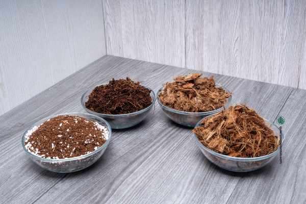 Moscas en el sustrato