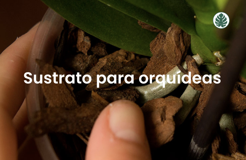 Sustrato Adecuado para Orquídeas