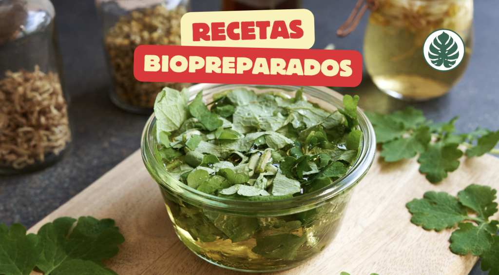 Recetas de biopreparados