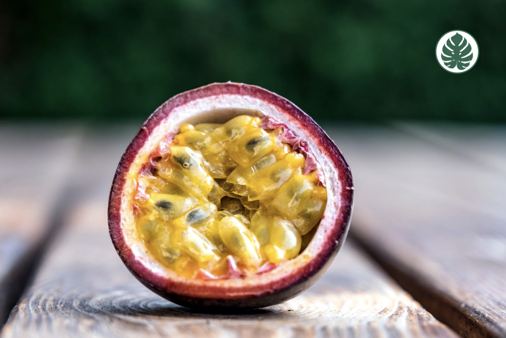 MburucuyánPassiflora caeruleanPasionarianPassifloraceae